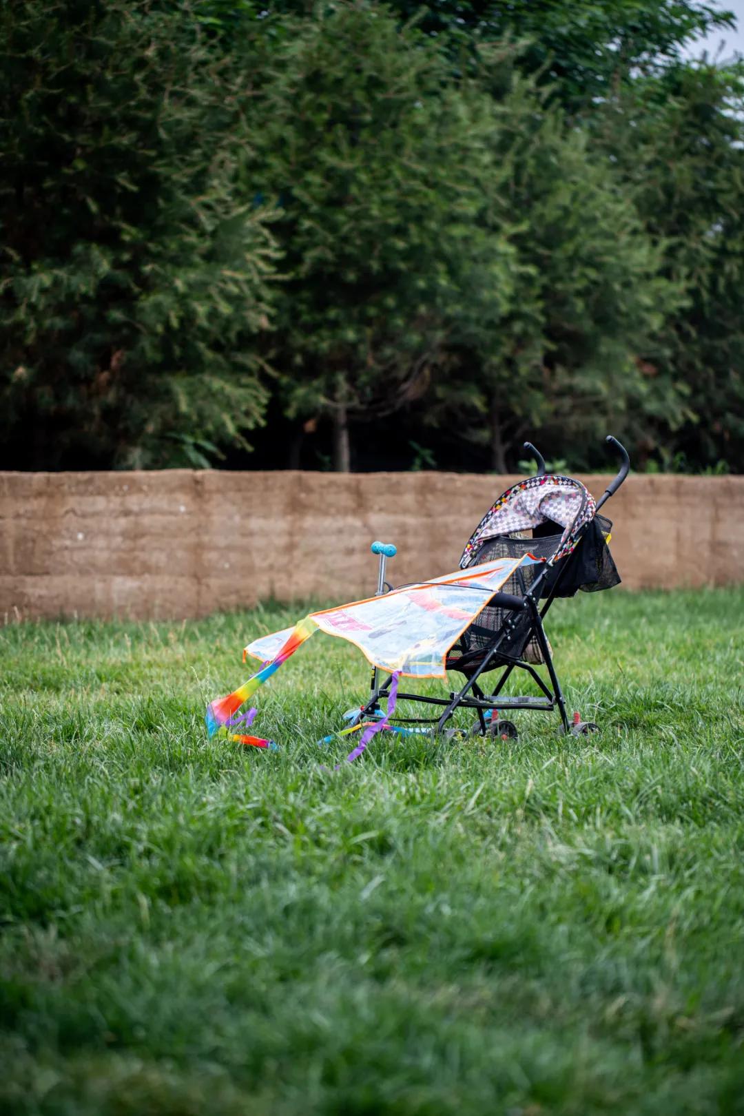 西安花海小森林,西安周边适合郊游野餐的地方
