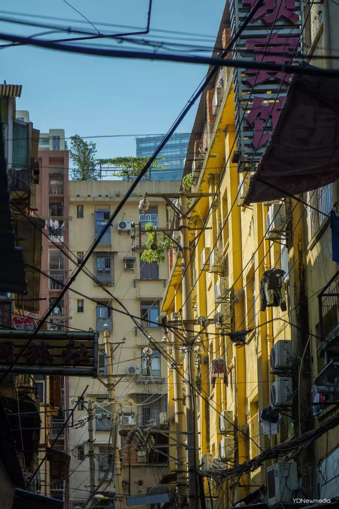 武汉哪个市场鲜花最便宜,武汉最便宜的鲜花批发市场