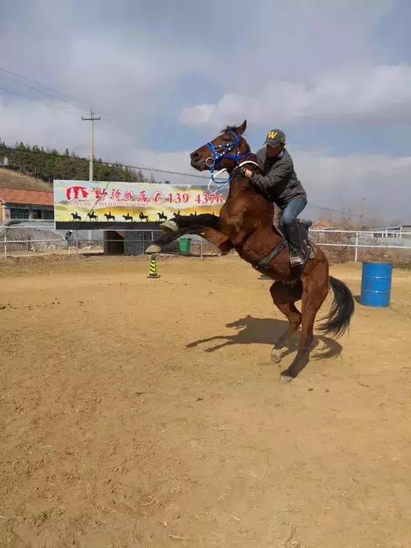 辽源东丰县五一游,辽源十一周边一日游的绝佳去处