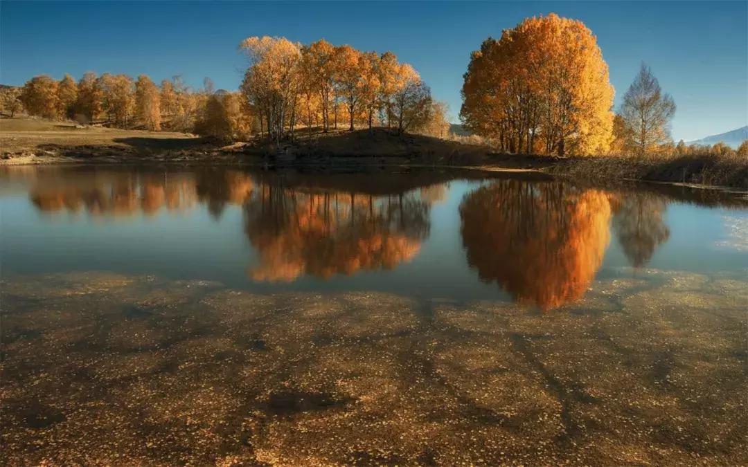 当下也有美诗读！和尚诗壁（76）回望当年牵手处，而今唯有落花新