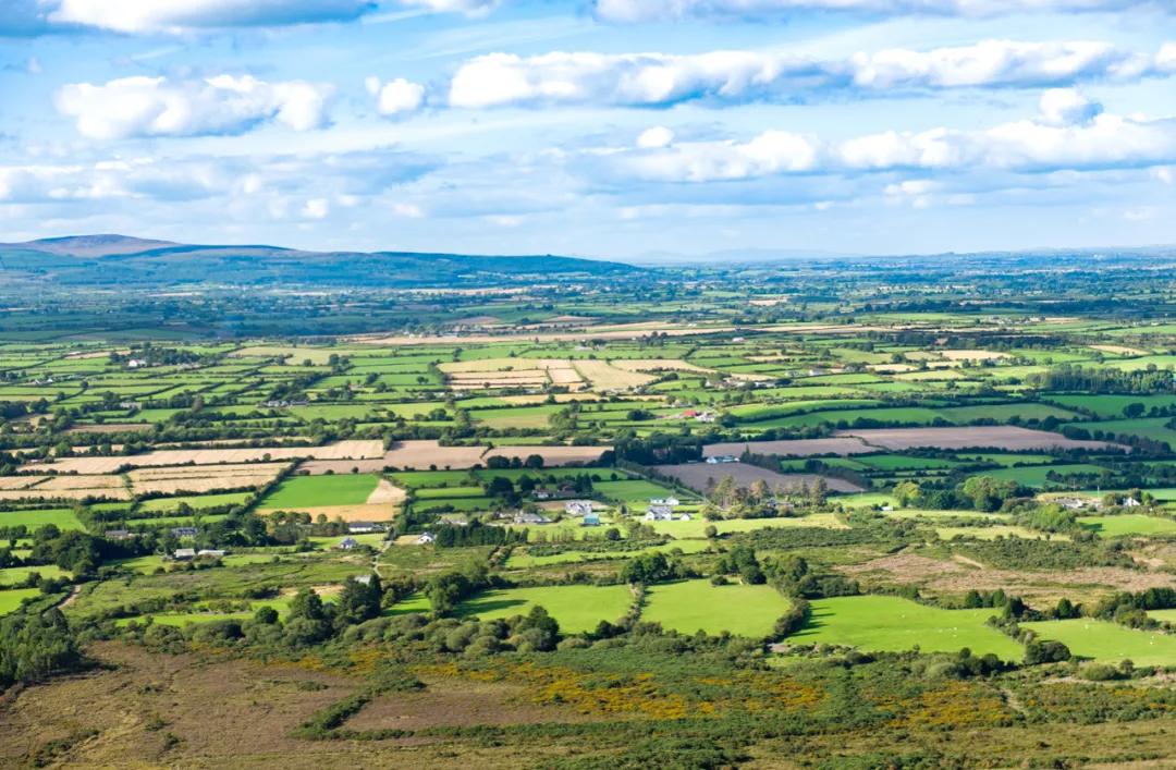 aerabo新西兰奶粉,aerabo爱尔兰进口