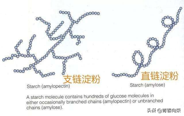 脱糖电饭煲是真的有效吗,低糖脱糖电饭煲测评