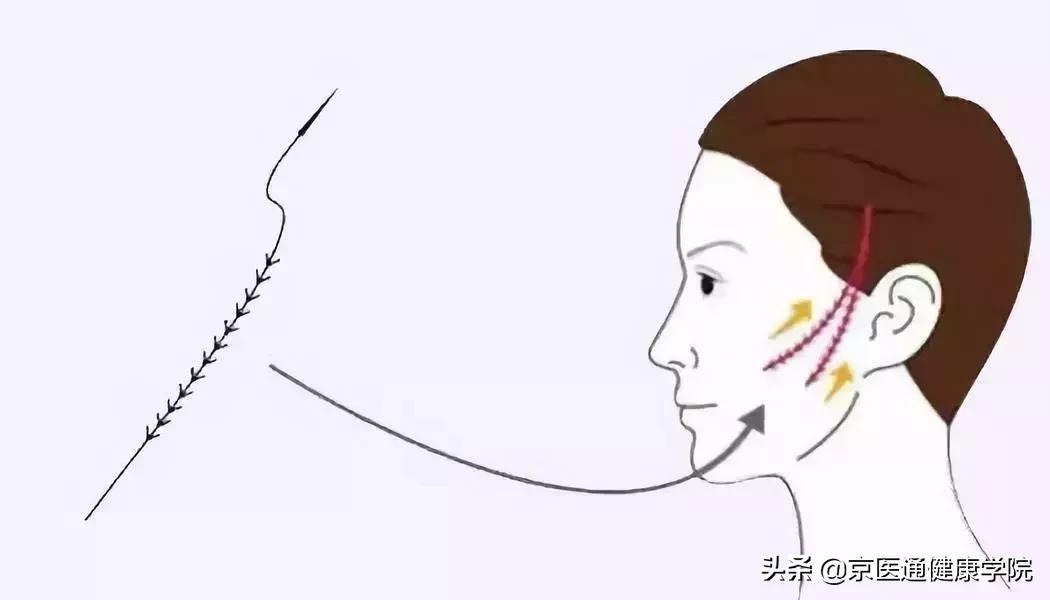 被吹上天却没什么用的保健品,被吹上天的阿胶