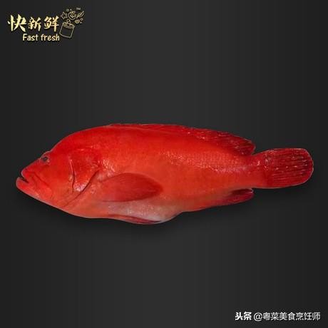 名贵海鲜食材排名,名贵海鱼大全图片