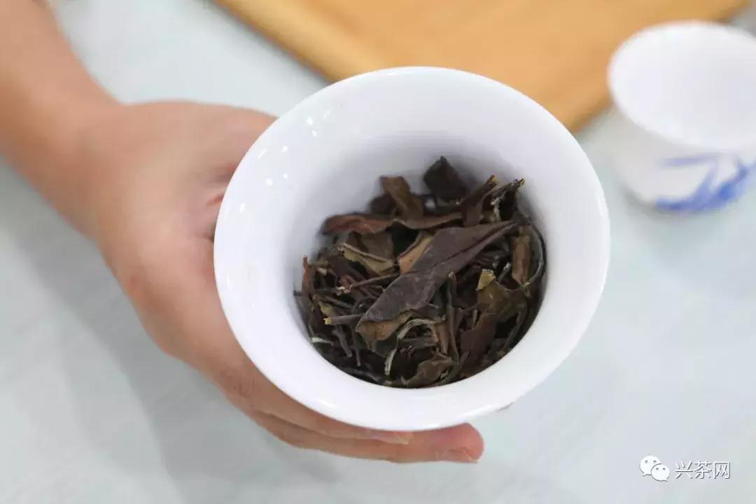 新手开茶叶店的介绍视频,新手开茶叶店如何找客户