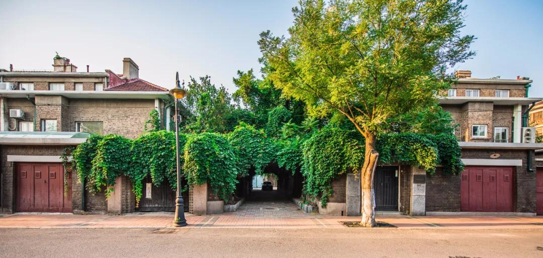 60岁前必去的中国各省区最美天堂,全国各省最美天堂你都去对了吗