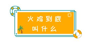 驼峰储水？童话里都是骗人的