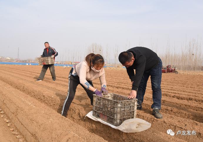 刘振海安阳,刘振海莒县