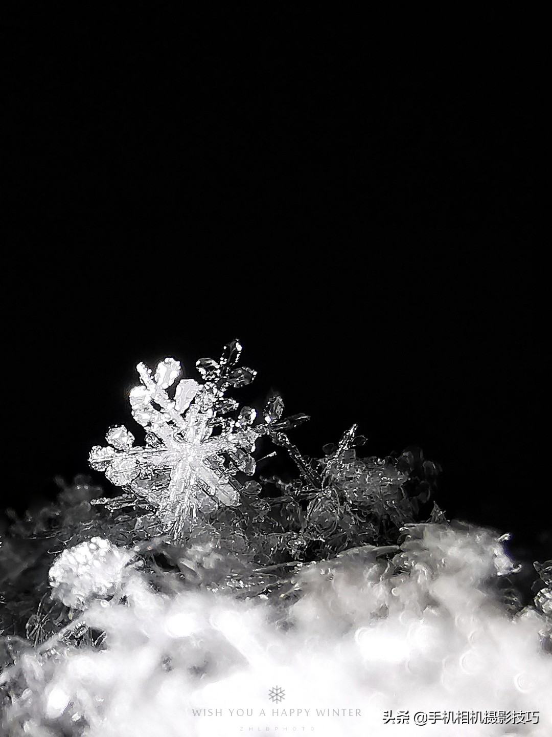 给照片加上水印用什么软件,怎么给照片加水印手机版