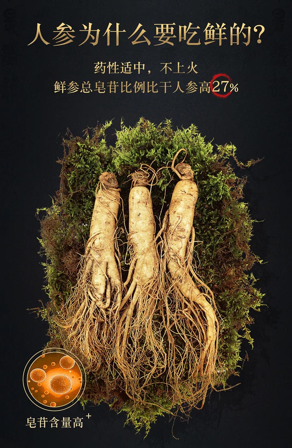 鲜人参几月份上市,新鲜人参上市时间