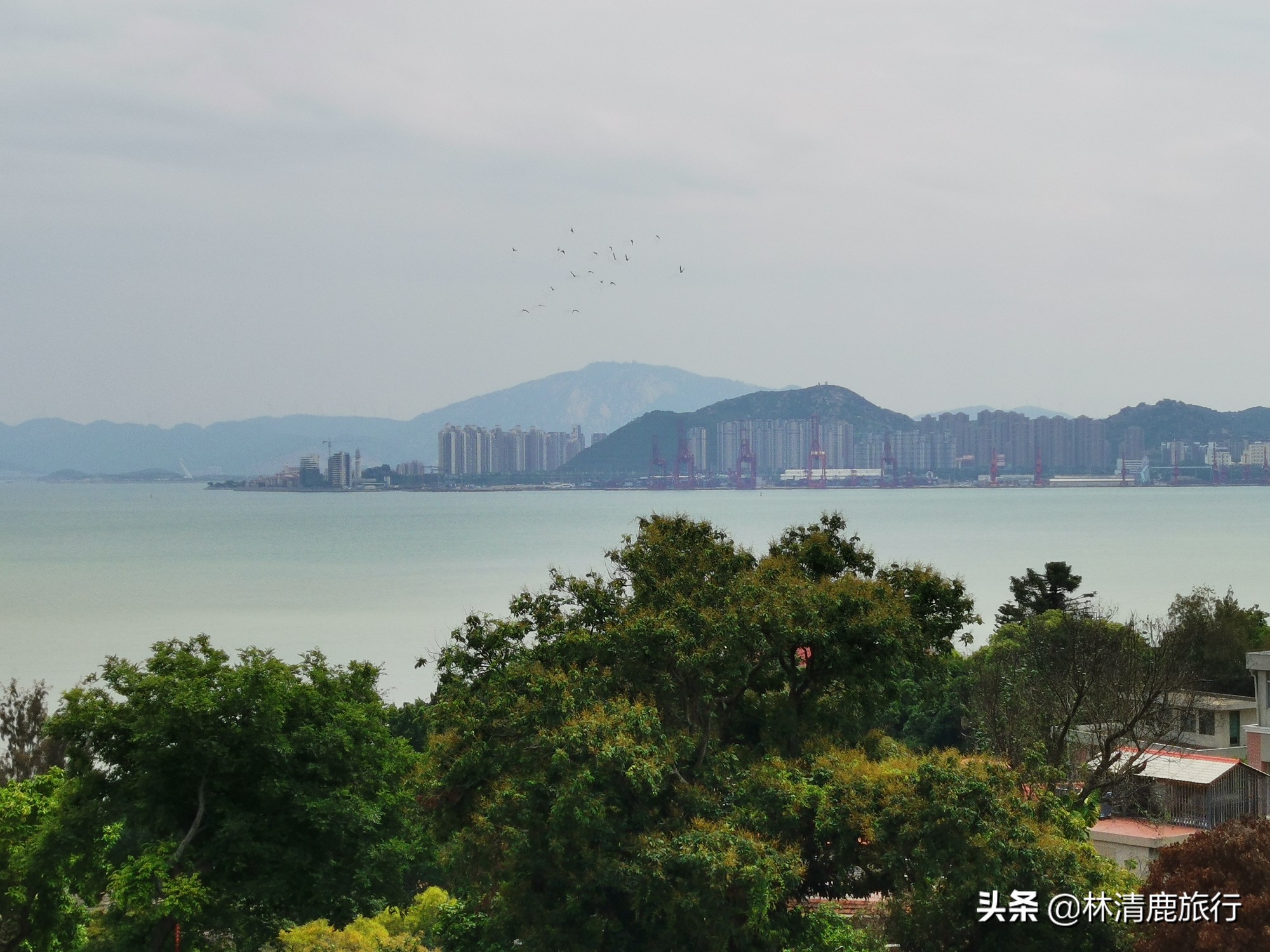 鼓浪屿为什么会有钢琴之岛的美誉,中国最美五大城区鼓浪屿