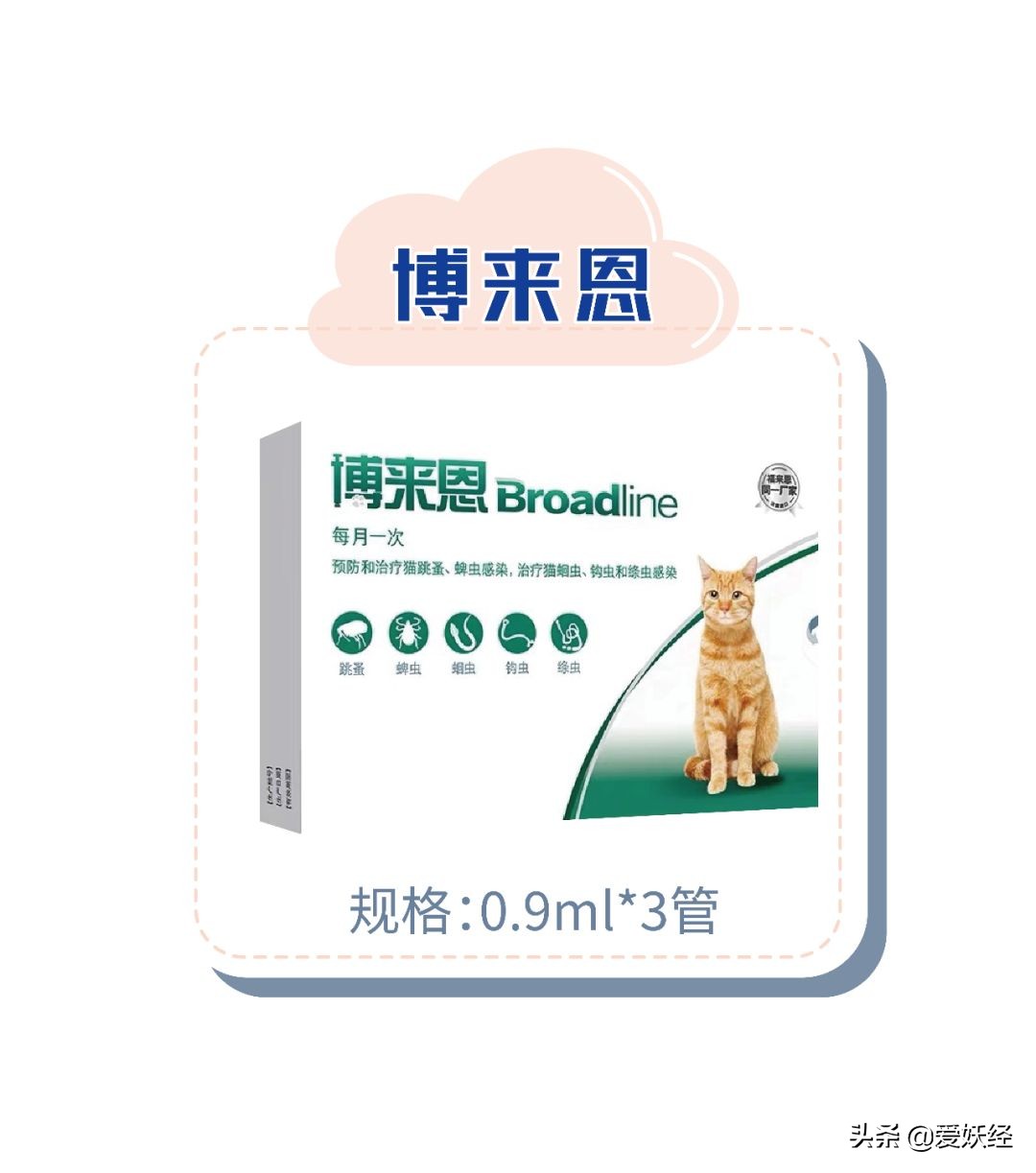 别说老狐狸不宠粉，你们要的猫用驱虫药测评！来喽