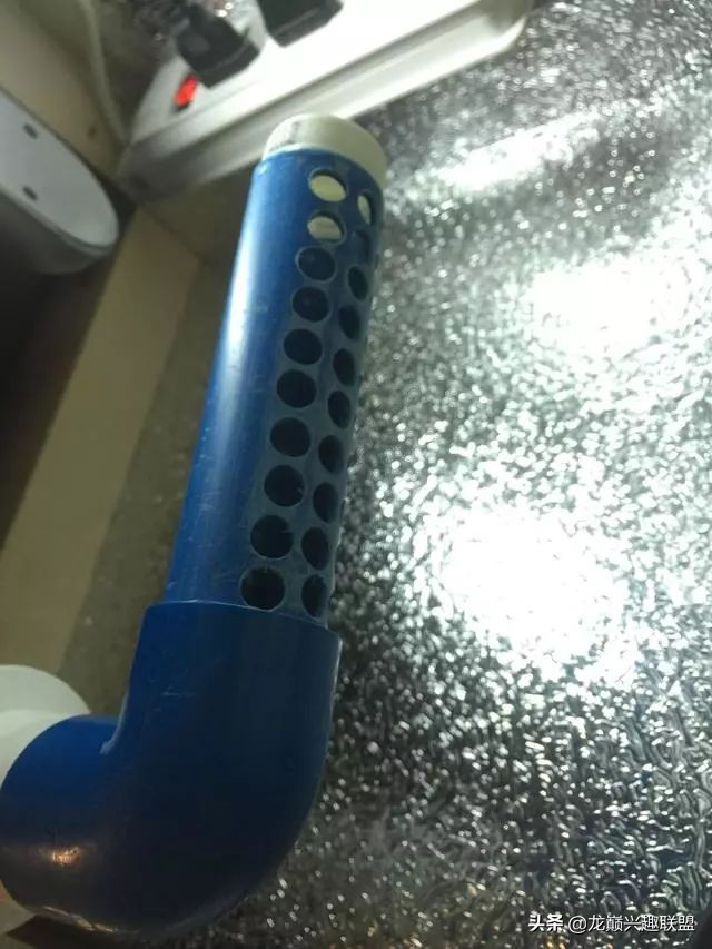 垃圾桶旁边的四方鱼缸，捡回去养了一缸金鱼，别说还挺不错