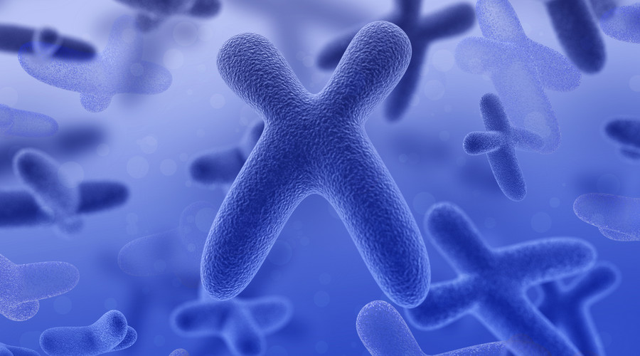 染色体决定孩子性别,染色体与性别关系