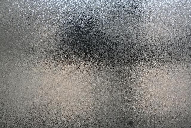 夏天捕捉蜻蜓,夏天捉飞虫