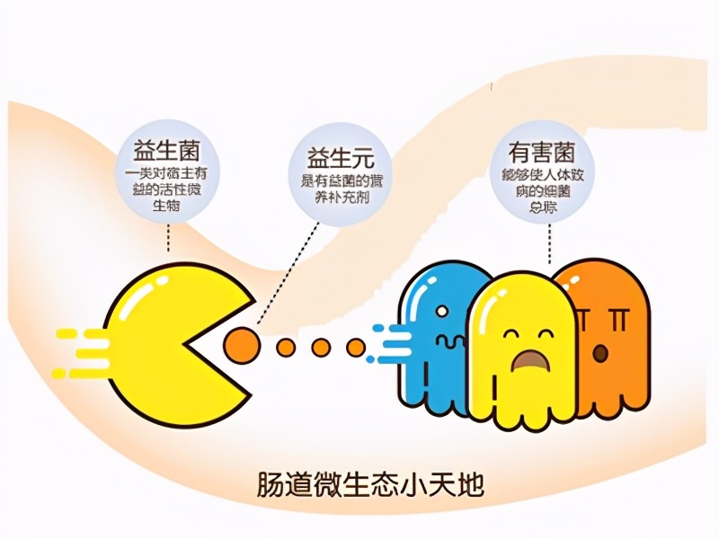 接近母乳的奶粉怎么选，关键看这个成分