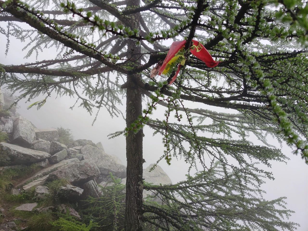 一个人的旅行——九死一生的太白山穿越记(3)