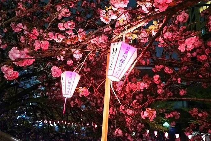 日本本州旅游攻略亲子,日本本州攻略