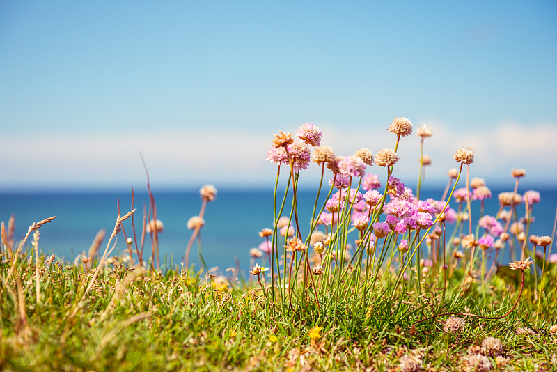 深度解析股,深度证券分析