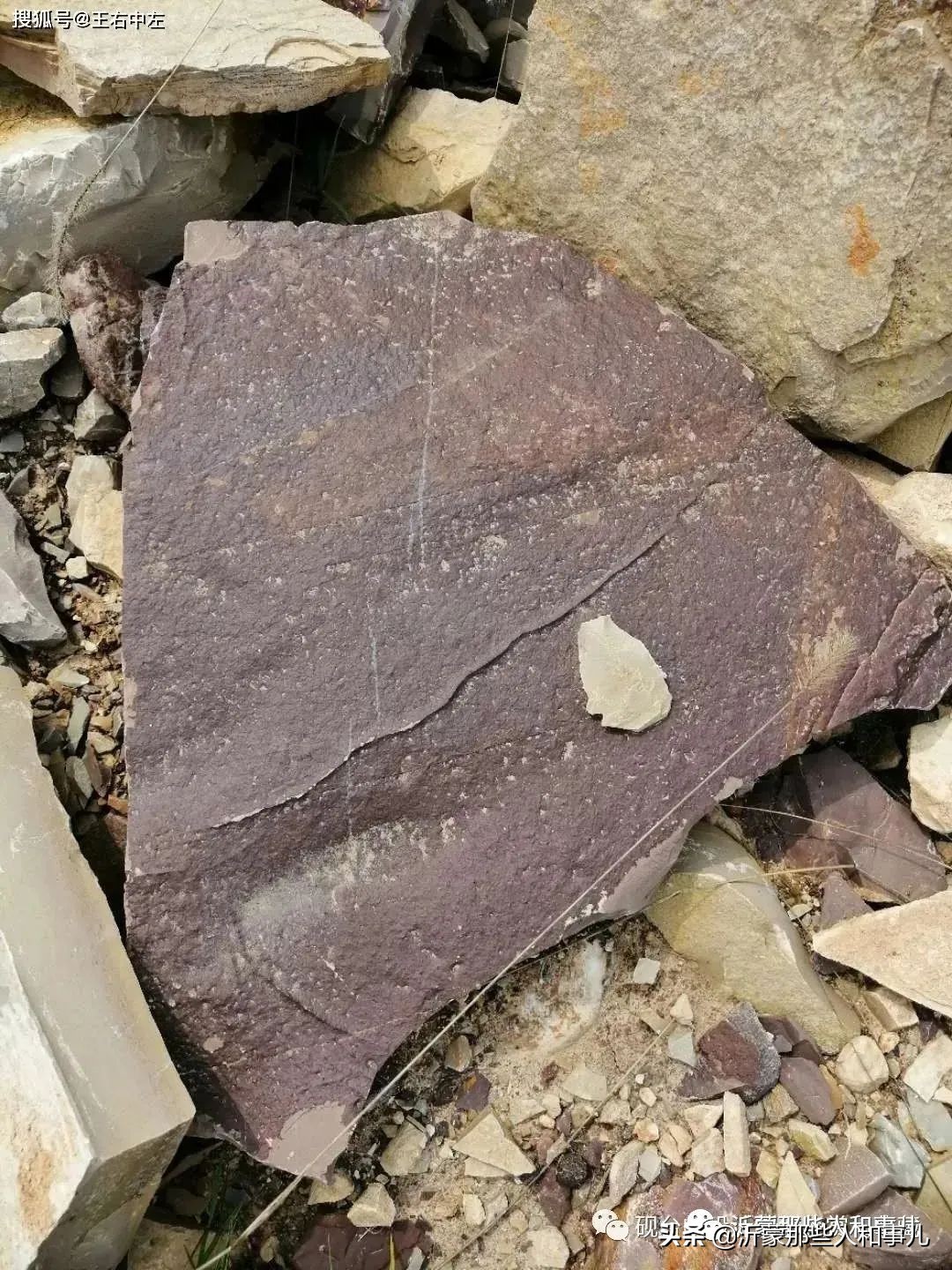 米芾《诏使帖》,米芾临沂使君帖书法赏析