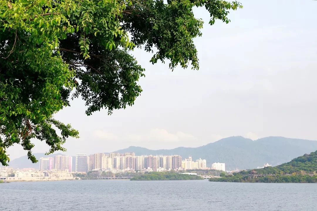 坐11号线去深圳看海,11号线碧海湾看海