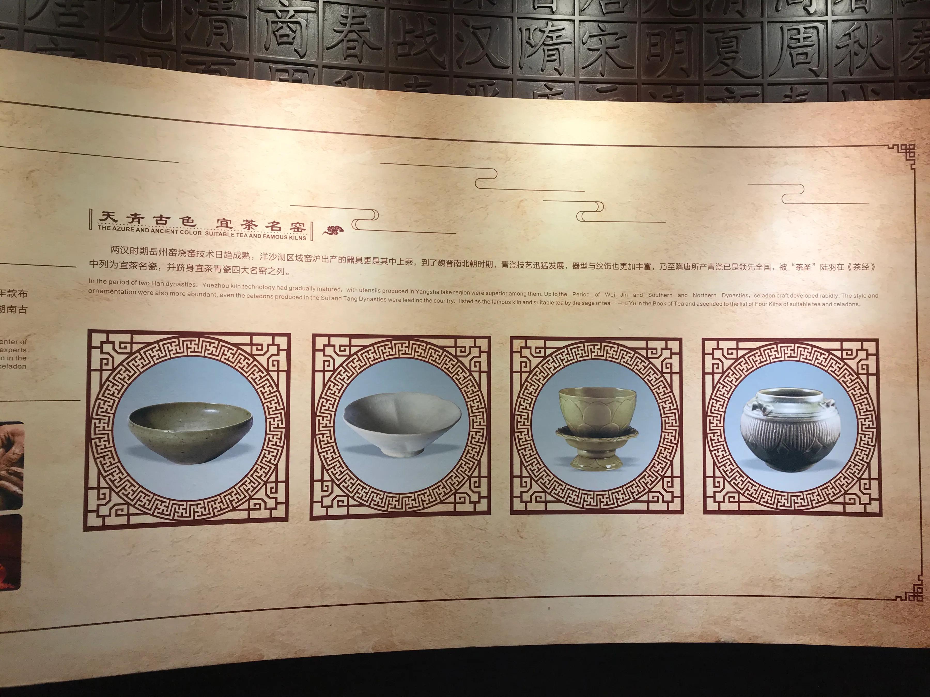 洋沙湖湿地公园游记,洋沙湖游记作文