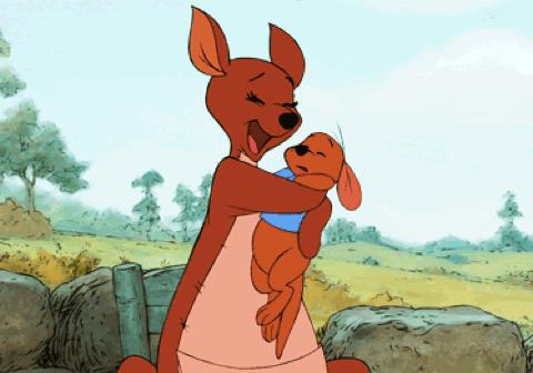 与动物有关的20个英语,用英语表达10种动物