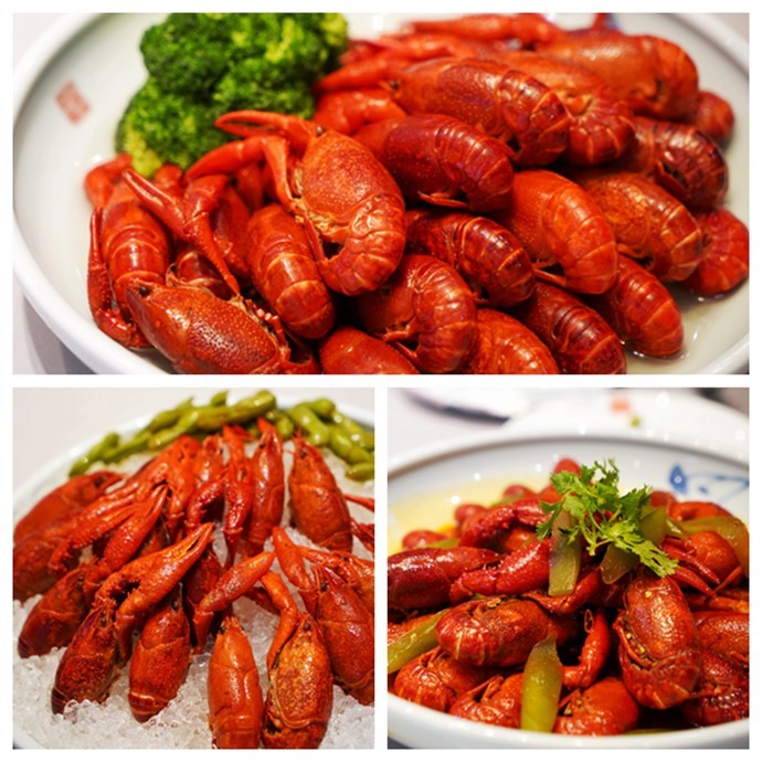 连淮扬镇铁路将开通,连淮扬镇铁路扬州段进展