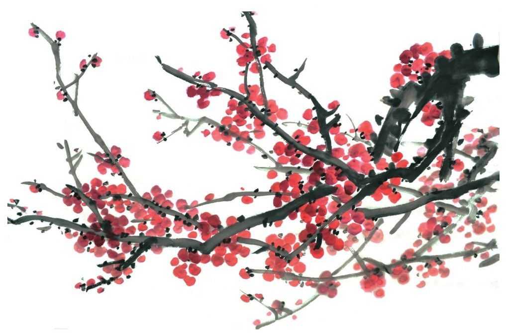 梅花入门画法教程,梅花的十种画法讲解