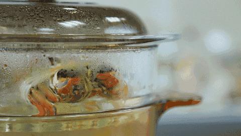 蒸蟹脚容易掉,海蟹蒸的时候黄漏了
