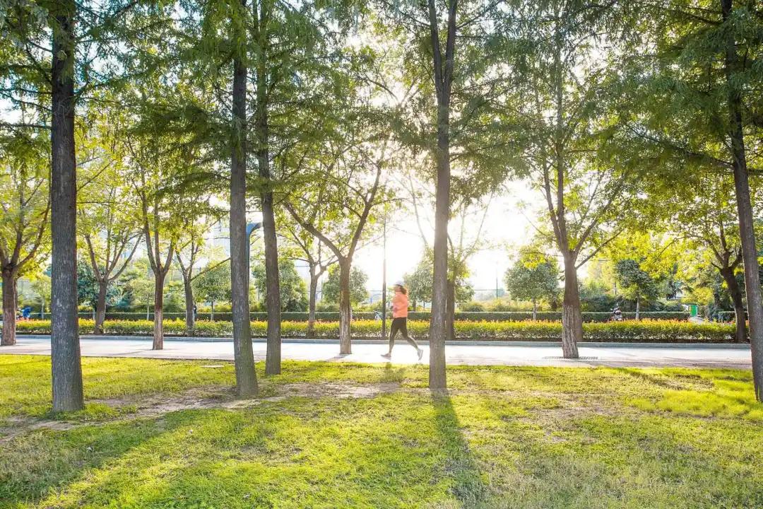 洛阳有收藏玉器的地方吗,洛龙区游玩收藏榜