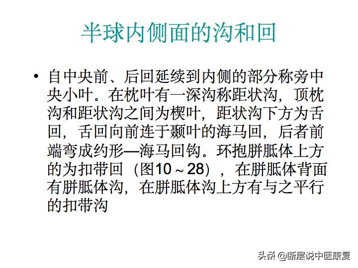 中枢神经系统断层解剖讲解,中枢神经3d解剖动画