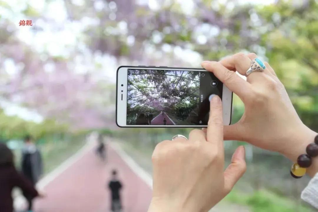 周边有什么可逛的地方吗,4月适合去哪儿旅游攻略