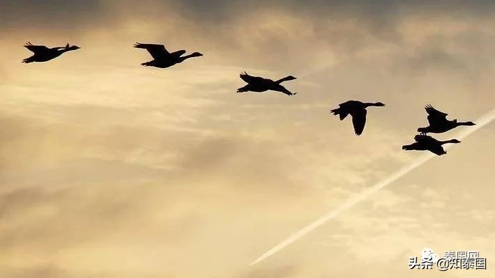 泰国发展不均衡,泰国为啥没成发达国家