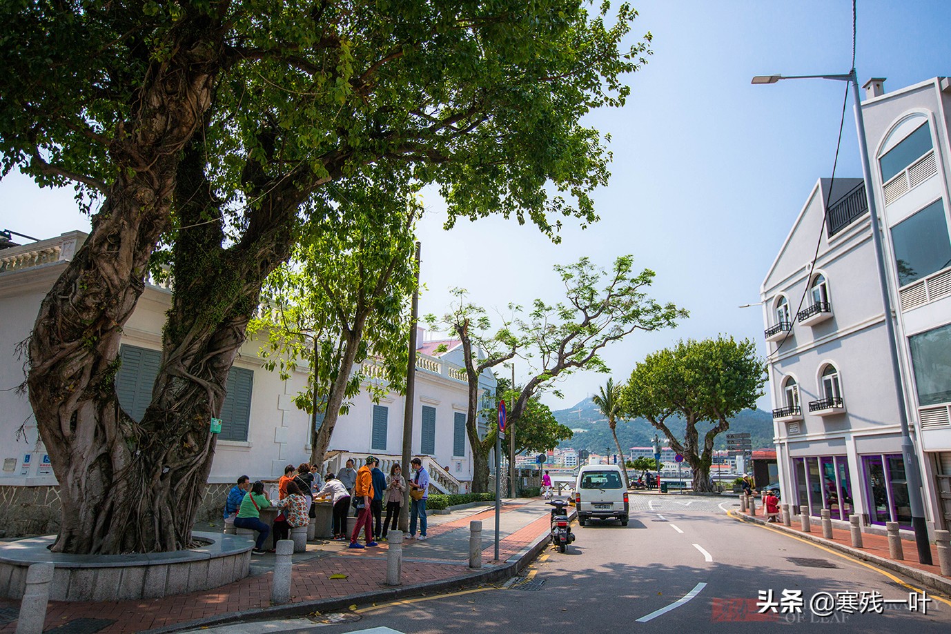 探索澳门美食,澳门最好吃蛋挞在哪里