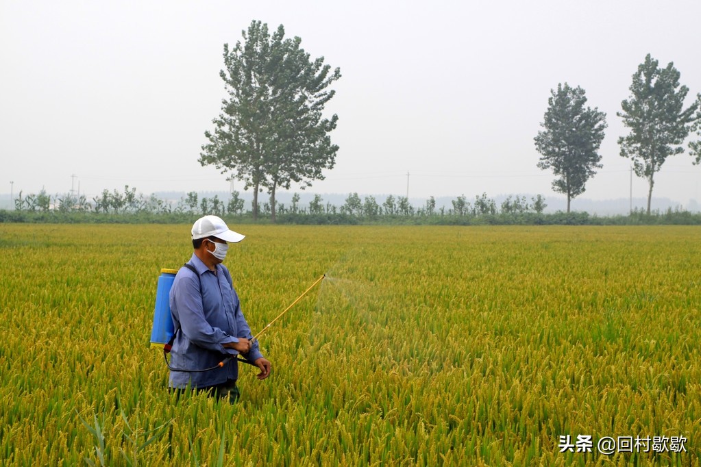 邯郸学步讽刺,邯郸学步成笑柄告诉我们什么道理
