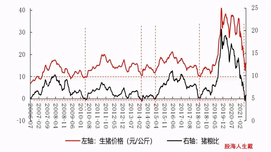 万物皆周期牛市特征,万物皆周期处于底部区间的猪周期