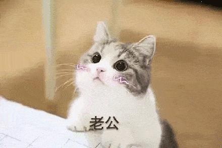 搞笑的冷笑话最好能笑死,非常搞笑的冷笑话大全