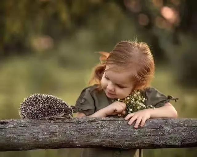 情人节怎样卖花,情人节卖花文案