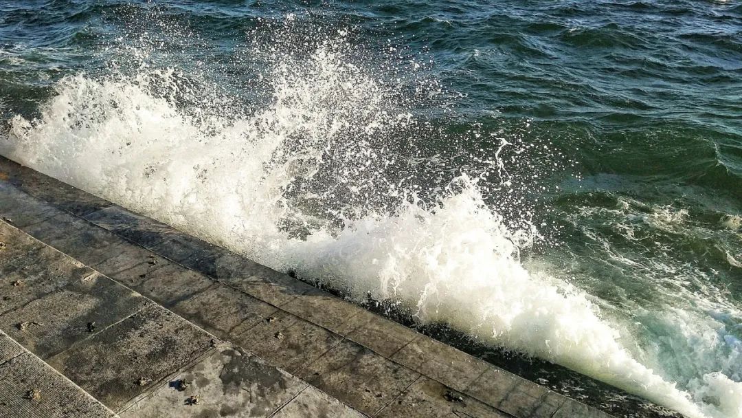 人脉如此重要：职场新人如何有效提高自己的人脉“搜索力”。