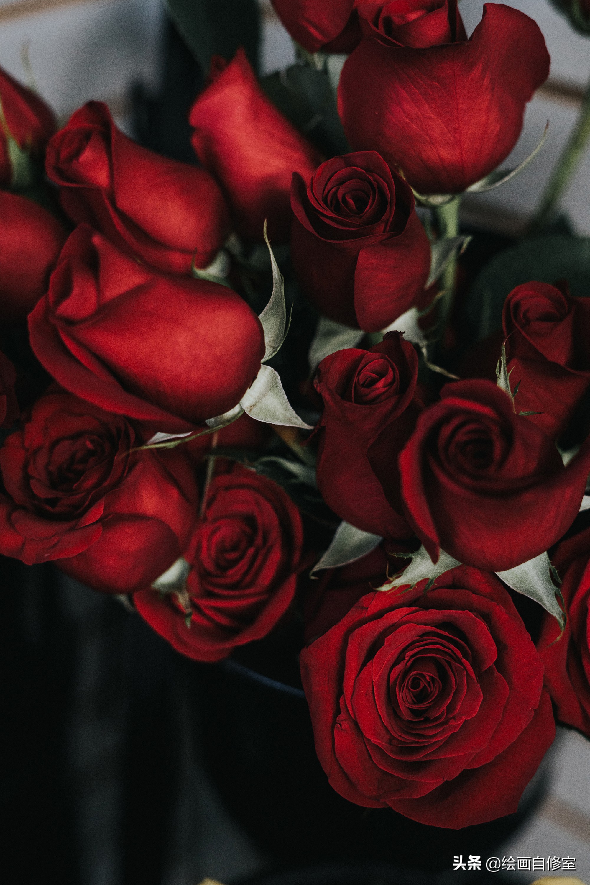 情人节花束手绘蓝玫瑰,情人节礼物手绘玫瑰花