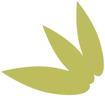 一双筷子引发的思考——董家镇柿子园小学开展了解筷子文化活动