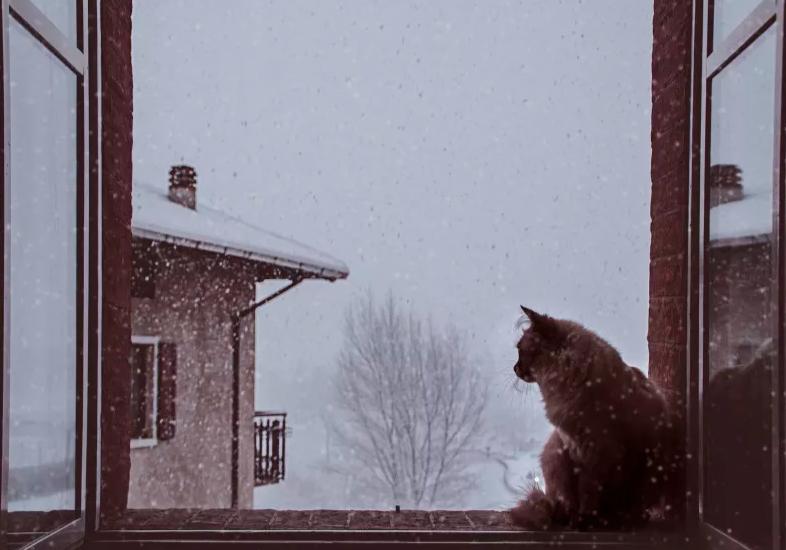 白居易晚来天欲雪的上句,晚来天欲雪诗句配图