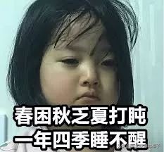 新加坡冻成狗,新加坡狂风暴雨来袭