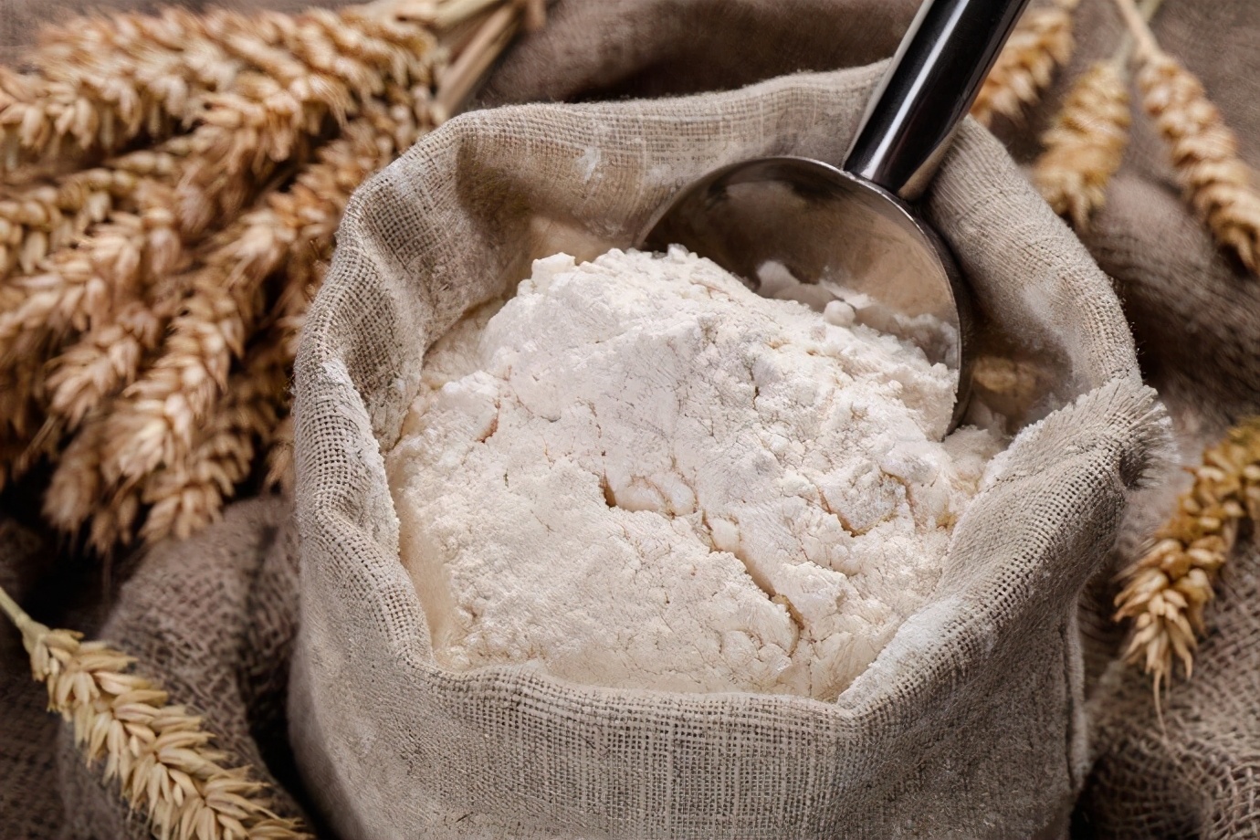 普通高筋粉和面包高筋粉区别,面包高筋粉和普通的高筋粉的区别