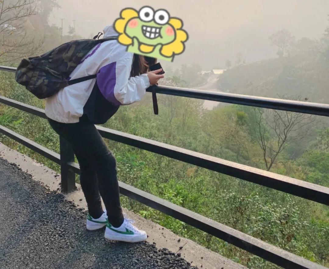 昔逐红尘千里归,昔逐红尘千里归出自哪里