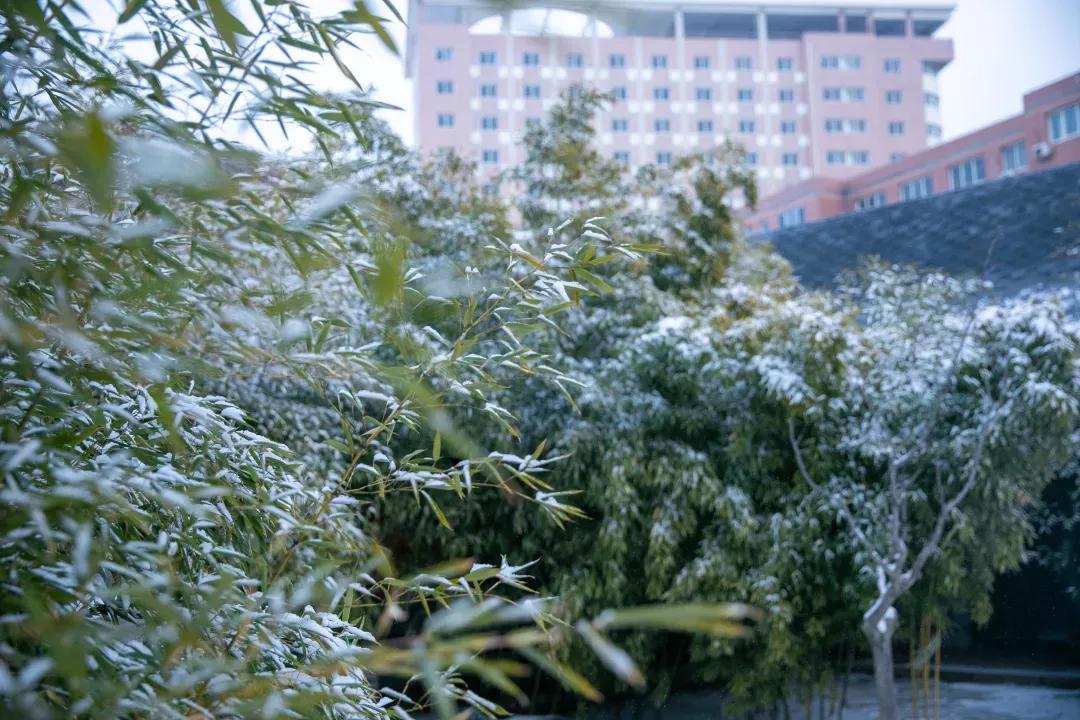 民办学校大连艺术学院全国排名,大连艺术学院辽宁排名