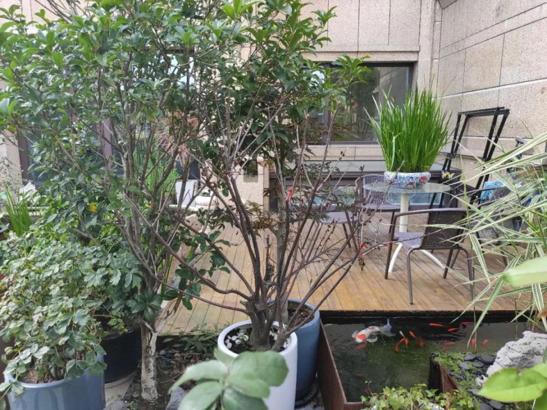 归来仍是少年古玩市场,归来仍是少年季羡林