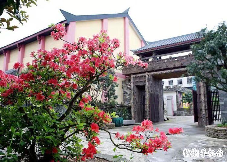 先睹为快，十三村重奖征文6篇获奖文章有多美