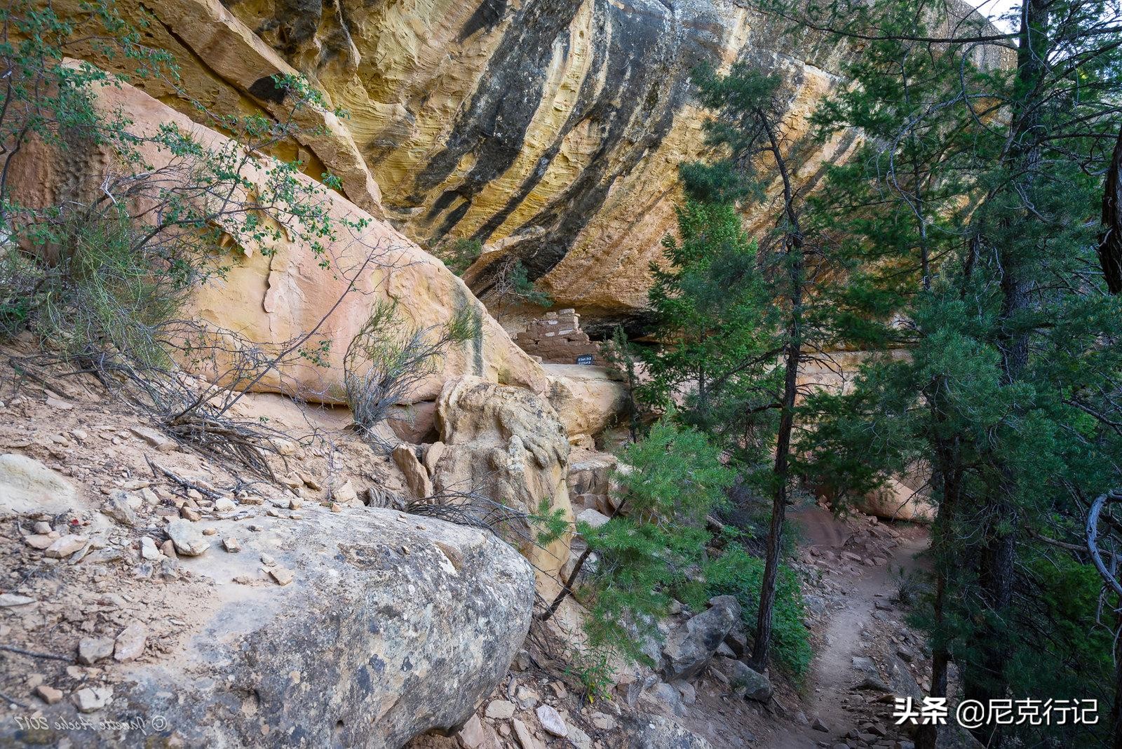 老汉被称为山顶洞人,山顶洞人隐居山洞